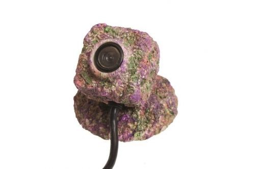 Verkleidung für Reef-Cam Aquarien-Unterwasserkamera