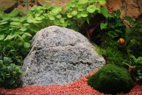 Back to Nature River Stone F - sinking