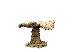 Riffkeramik Riffpilz 20cm