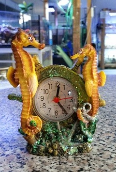 Uhr mit Wecker Seepferdchen - gelb