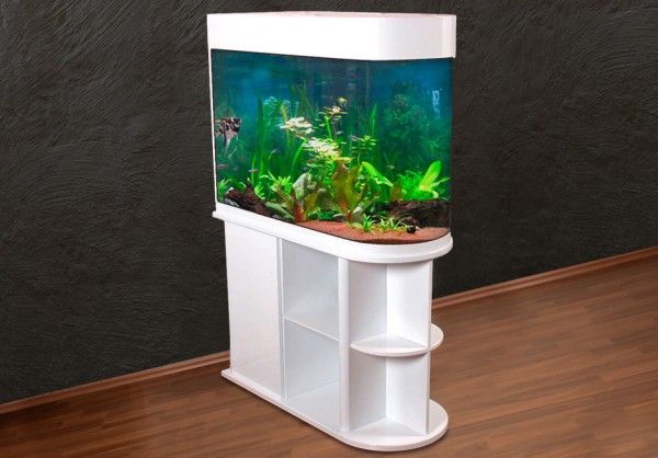 Raumteiler: schwarzes Glasaquarium Aquarienkombination 100cm