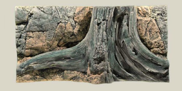 Back to Nature Amazonas Rückwand 100 x 50cm