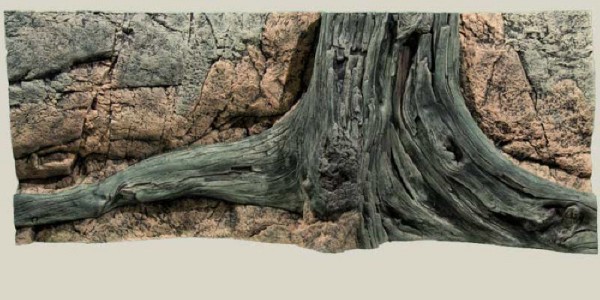 Back to Nature Amazonas Rückwand 120 x50cm