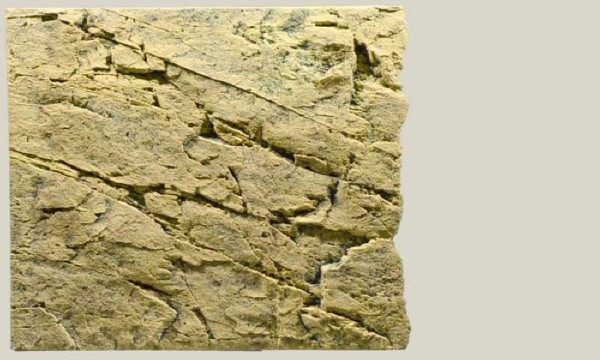 Back to Nature Slimline 60B Sand 50 x 55cm