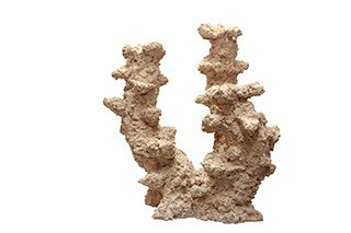 Riffkeramik Riffsäule Breit 2 Äste 30cm