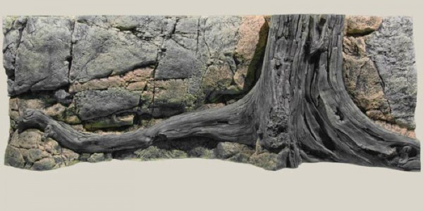 Back to Nature Amazonas Rückwand 160 x 60cm