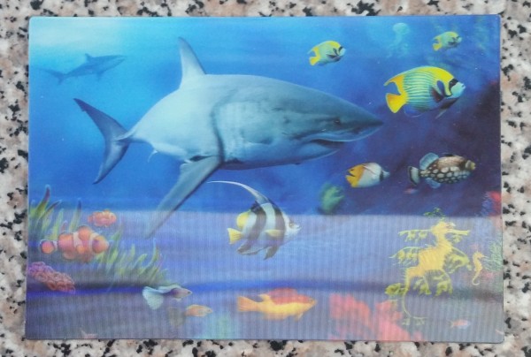 3D Postkarte Haie - 16cm