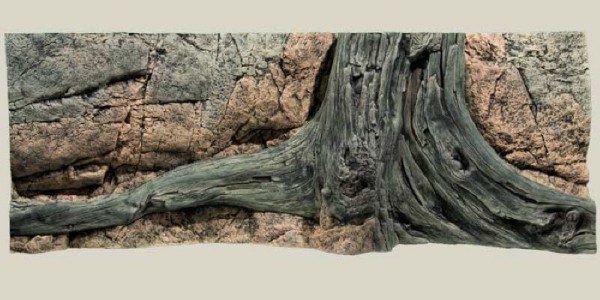 Back to Nature Amazonas Rückwand 130 x50cm