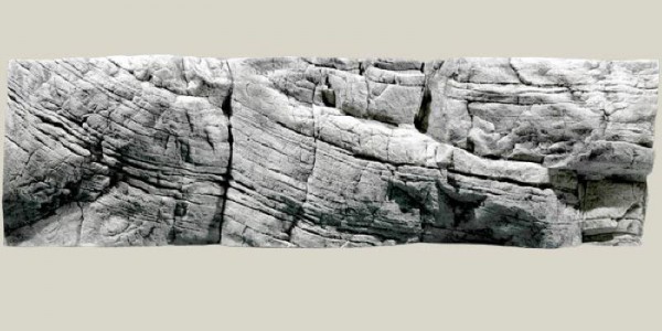 Back to Nature Tanganyika  Rückwand 200 x 60cm