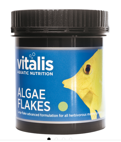Vitalis Marine Flakes – Fischfutter Für Meerwasser-Aquarien, Ausgewogene Ernährung, Große Flocken, 52% Protein