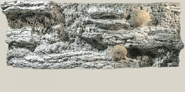 Back to Nature Reef Rückwand 150 x 50cm