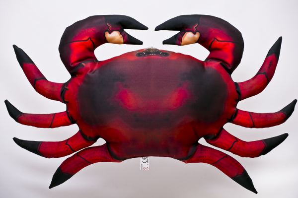 Taschenkrebs Krabbe - Kissen ca. 60 cm