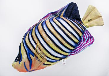 Pfauenkaiserfisch - Mini Kissen ca. 32 cm