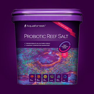 Aquaforest Probiotic Reef Salt 22 kg Meersalz in Box