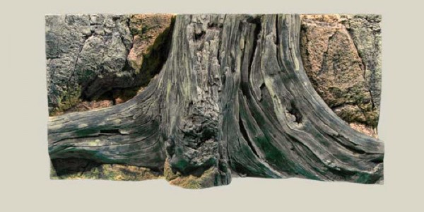 Back to Nature Rocky Rückwand 80 x 40cm