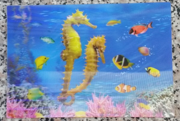 3D Postkarte Seepferde - 16cm