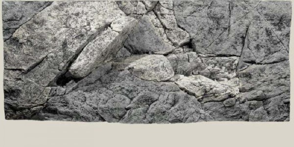 Back to Nature Rocky Rückwand 120 x 50cm